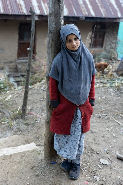 Huda. Taken from Babagail village, Limber wildlife sanctuary,LoC, Baramulla/2023