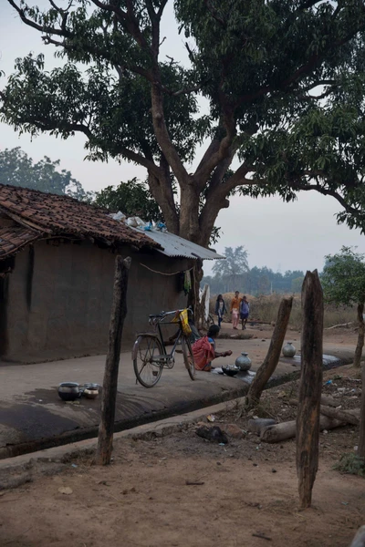 Taken from Dadumunda village in Sambalpur District. 