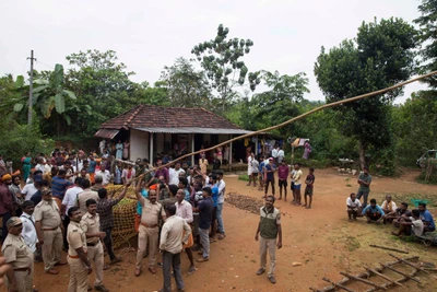 1) Jayanti is gathering clothes.
2)Jayanti is covering desiccated areca nuts.
3)Susmitha, daughter of Jayanti and Ramayya, documenting the whole process of evacuating a cheetah using mobile :)
4) Collecting gooseberries from the courtyard of Ramayya and Jayanti's house

( the ring had to be partially destroyed for its evacuation and the well has to be cleaned for further usage )

Ramayya is a carpenter. The family owns less than an acre of land of areca palm trees.
(07/11/21)