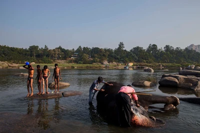 Taken from Thungabhadra river, Virupaksha temple, Hampi. Elephant's name is Lakshmi, Mahouts are Arun and Subhraj. 