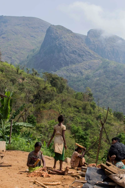 Taken from Kurukathi Kallu Hamlet. 2021