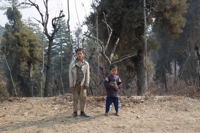 Shakir and Wasim. Take from Kanidajan village, in Budgam district. 