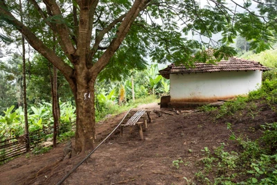 Aralikonam Hamlet.2015