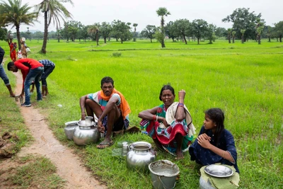 The girl in the fore ground is Jasuda, an eight standard student who is on the verge of quitting school. Laxmi Murjya, her mother has four children- three daughters and a son. The person sitting next to them is not a family member. He sells locally brewed alcohol at Bhejaguda market in Pandripani.
They are from Gotijodi village in Malkangiri district.