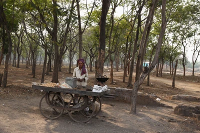 A vendor selling dried peanuts in Gavra road near Korba. Kusumunda mine, second largest goverment mining project in India is near to this place.  
