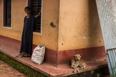 “This dog, Tomy became completely blind few months ago. Since then he is totally dependant on me" Yashoda, wife of Krishnappa said.