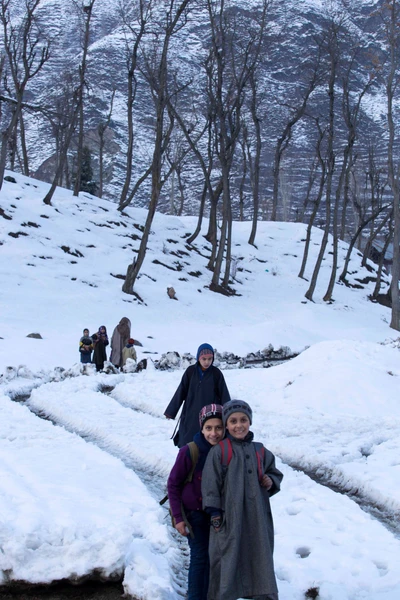 Failed to notice names of students in the front ground. In the back ground, Seerat, Mehak and Ayan, along with his mother and they were on the way back home. Ayan's mother is a teacher in Sha Waliat Lah English School in Jalsheri village, Baramulla district, Kashmir, where all of these are studying.