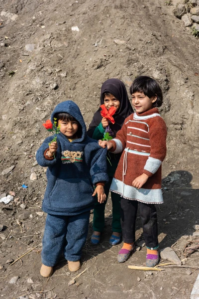 Babagail village, Limber wildlife sanctuary,LoC, Baramulla/2023