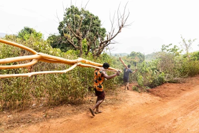 Kodikunthi village, Chitrakonda, Malkangiri/2023