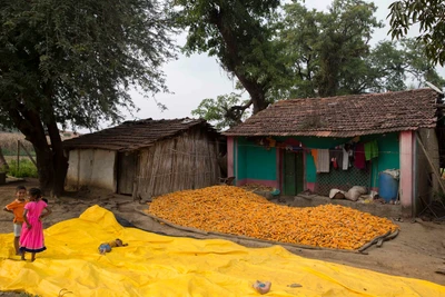 Taken from Halthigotti village near Haliyal. 