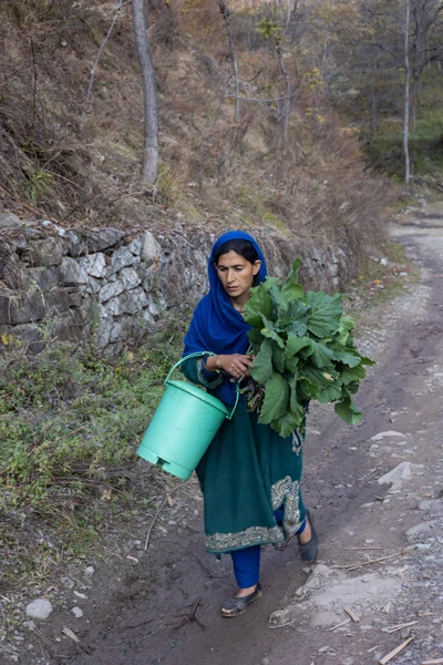 Babagail village, Limber wildlife sanctuary,LoC, Baramulla/2023