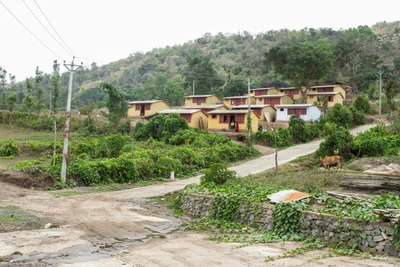 Portion of Vallolam Hamlet. 2013.