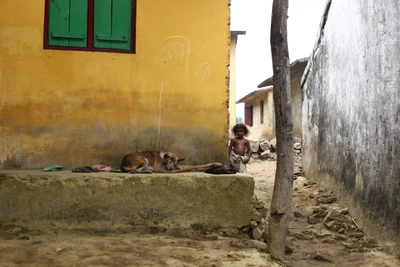 Take from Vallolam ooru. The boy is coming after taking a bath before school. 2015