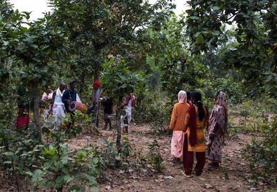 These people belong to Bhumj tribe. They were celebrating Khoram festival in November, 2018. They performed rituals and dance in village in a particular home, then they walked as a procession to the near by Jungle to perform rest of the rituals where outsiders are not allowed. Taken from Harisanga village, Baripada, Mayurbhanj district. 