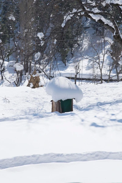 Snow capped toilet. Taken from Rashianpura, Baramulla district. 