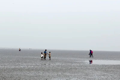 "I am a survivor. My eyes saw that what no person should witness: gas chambers built by learned engineers. Children poisoned by educated physician. Infants killed by trained nurses. Women and babies shot by high school and college graduates. So, I am suspicious of education"- Dr Haim Ginott.
@Chandipur beach, Balasore district