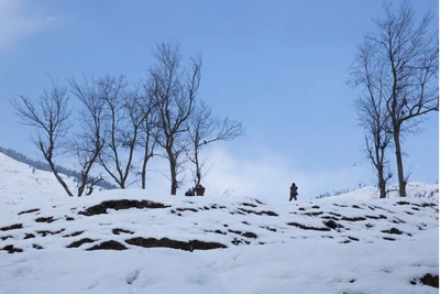 Children playing 