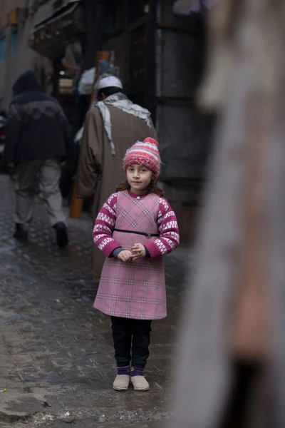 Mallika is studying in 2 level and daughter of a small scale shop owner on the bank of Dal lake. 