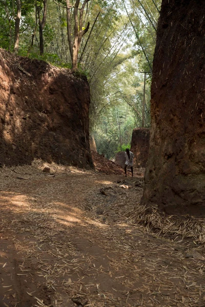 Recently built road to Gottiyargandi hamlet. 2015