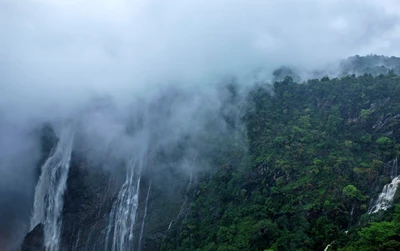 "For this reason you are a stranger", 
Jog falls.