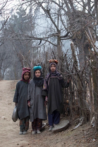 Ifra, Ikira and Sumera. Taken from Chalyan Chotnard village, it's coming under the project INDIAN MODEL VILLAGE.